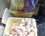 ばばちゃんが作るたくわんのお漬物作り方7写真