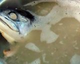 本格お店の石狩鍋 ! !作り方3写真