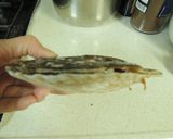 意外と簡単☆殻つきホタテの焼き方作り方3写真