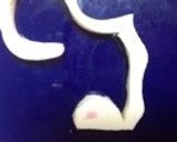 #干支かまぼこ　お正月の巳年の飾り切り作り方6写真