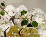 サク・ホロ＊抹茶スノーボールクッキー作り方6写真
