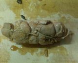 安くても豪華に見えるクルクル煮鶏作り方6写真