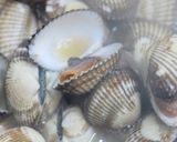 こあか味噌汁作り方11写真
