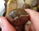 天津甘栗の簡単剥き方♪作り方4写真