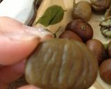 天津甘栗の簡単剥き方♪作り方5写真