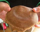 あつあつ☆しいたけシュウマイ。作り方7写真