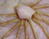 男のロマンだ！まぐろの漬けで絶品漬け丼作り方3写真