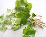 具だくさん＊うちの茶碗蒸し作り方10写真