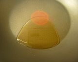 簡単にお酢で手羽先と卵の煮込み☆作り方6写真