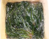 簡単おひたし作り方8写真