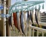 サンマのみりん干し作り方3写真