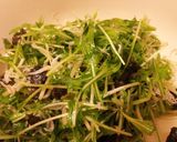 とっても簡単*水菜としらすのサラダ*作り方5写真