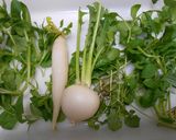 残したご飯で、無病息災・七草粥作り方2写真