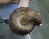 のとてまりのステーキ、フォアグラ添え作り方1写真