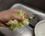 白菜の簡単浅漬け作り方11写真
