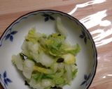 白菜の簡単浅漬け作り方14写真