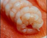 海老エキスのアメリカンソース作り方36写真