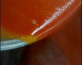 海老エキスのアメリカンソース作り方20写真
