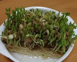 豆苗ともやしの塩麹炒め作り方5写真