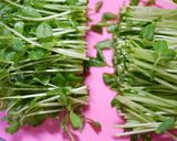 蟹カマと豆苗入りきざみ昆布のきんぴら風作り方2写真