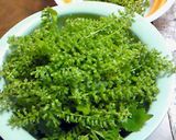 シソの醤油煮作り方2写真