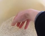 母の味の原点!!手作り味噌作り方4写真