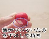 頑張れ受験生！合格だるまのだるディッシュ作り方1写真