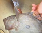 愛知の魚100選　マトウダイの肝和え作り方1写真