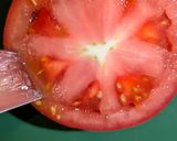 鶏もも生姜おこわのトマトファルシ作り方2写真