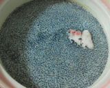 手作りだし＊黒ごまミルクとんこつ鍋作り方1写真