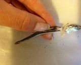 煮干しのはらわた取り〜だし下処理作り方5写真