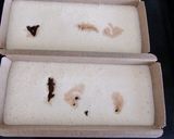バンホーテンピュアココアでチーズケーキ作り方3写真