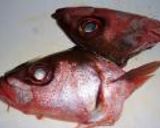 チビキ鯛の刺身と蒸しあんかけ作り方5写真