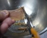 福島の味♪【イカにんじん】食べてみて！作り方3写真