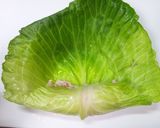 お豆腐のロールキャベツ作り方7写真