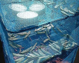 干しきゅうりと塩麹鶏の和えもの作り方1写真