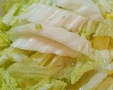 鶏むね肉と白菜の甘辛煮作り方3写真