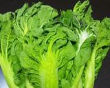 高菜のお漬物作り方1写真