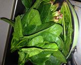 お弁当に☆ほうれん草ゴマあえ大量生産作り方1写真