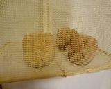 ☆味噌玉焼き☆母の思い出の味作り方8写真