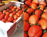 野菜ソムリエ特製!!生いちごジャム作り方1写真