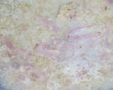 豆乳を使った基本のクリーミーリゾットだよ作り方6写真