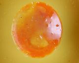 水菜入り卵焼き・かつおぶしのせ作り方3写真