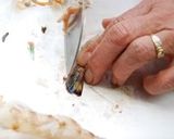 クルマエビとそら豆の豆腐あんかけ作り方3写真