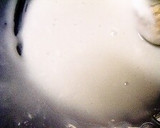 米粉で簡単、ふわっと、あんこ大福作り方1写真