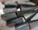 不足しがちなカルシュウムをイワシで＋作り方3写真