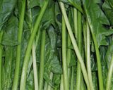 大量消費ほうれん草とハムの中華クリーム煮作り方1写真