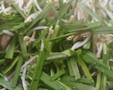 ご飯がすすむ♪豚ニラもやしの中華炒め作り方7写真