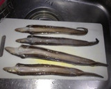臭みぬめり０魚屋流本格完璧穴子下処理作り方5写真