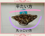 ❤殻付き牡蠣❤　フライパンで簡単調理作り方1写真